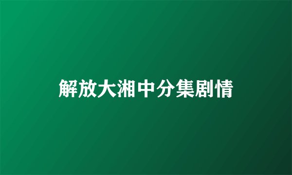 解放大湘中分集剧情
