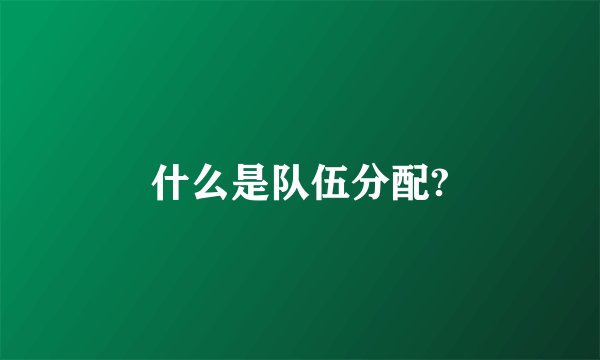什么是队伍分配?