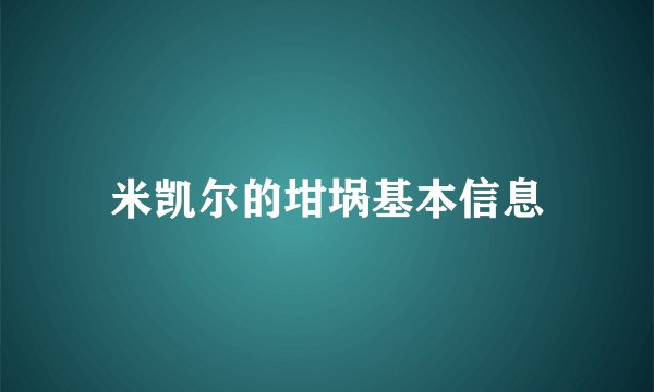 米凯尔的坩埚基本信息