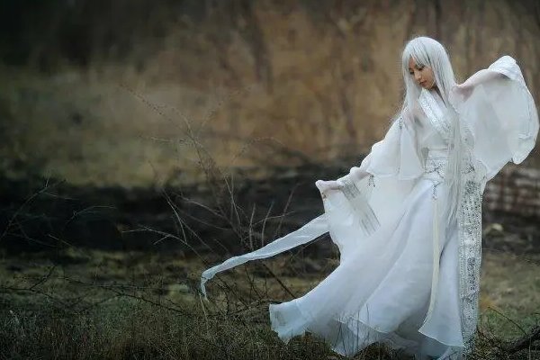 千年的白狐唯美诗句