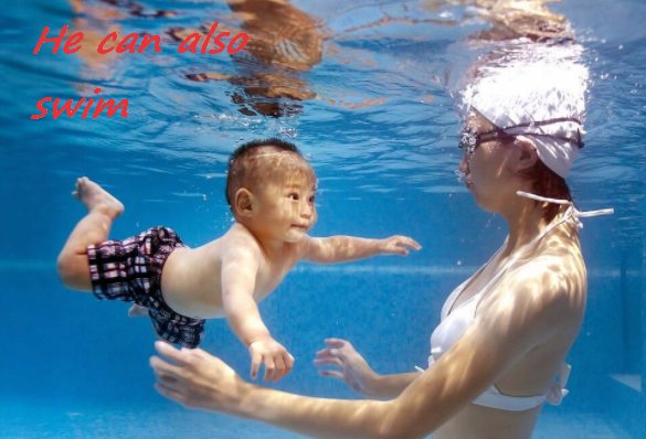 是also can还是can also