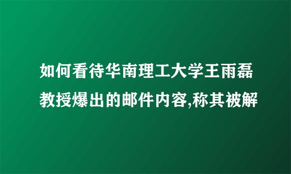 如何看待华南理工大学王雨磊教授爆出的邮件内容,称其被解