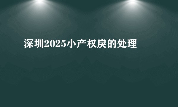 深圳2025小产权戾的处理