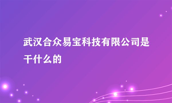 武汉合众易宝科技有限公司是干什么的