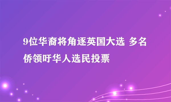 9位华裔将角逐英国大选 多名侨领吁华人选民投票