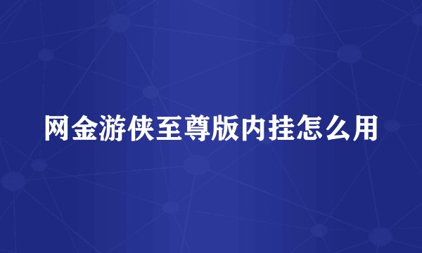 网金游侠至尊版内挂怎么用