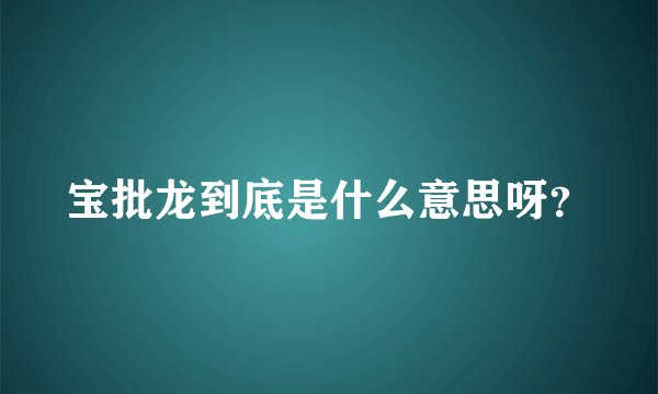宝批龙到底是什么意思呀？