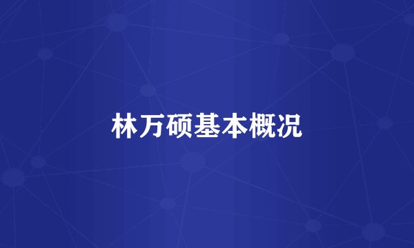 林万硕基本概况