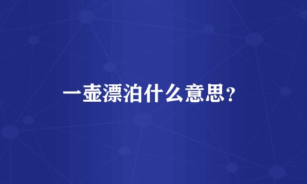 一壶漂泊什么意思?
