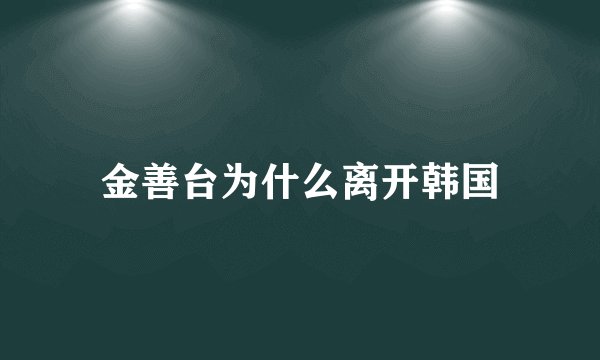 金善台为什么离开韩国