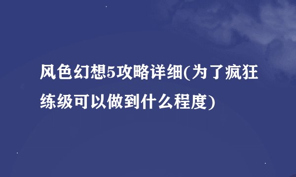 风色幻想5攻略详细(为了疯狂练级可以做到什么程度)
