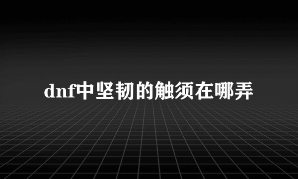 dnf中坚韧的触须在哪弄