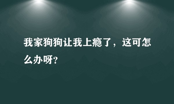 我家狗狗让我上瘾了，这可怎么办呀？