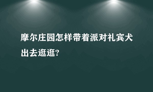 摩尔庄园怎样带着派对礼宾犬出去逛逛?
