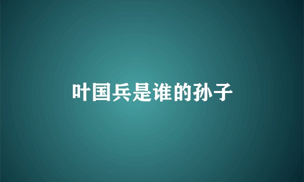 叶国兵是谁的孙子