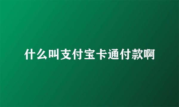什么叫支付宝卡通付款啊