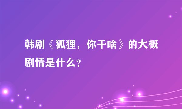 韩剧《狐狸，你干啥》的大概剧情是什么？