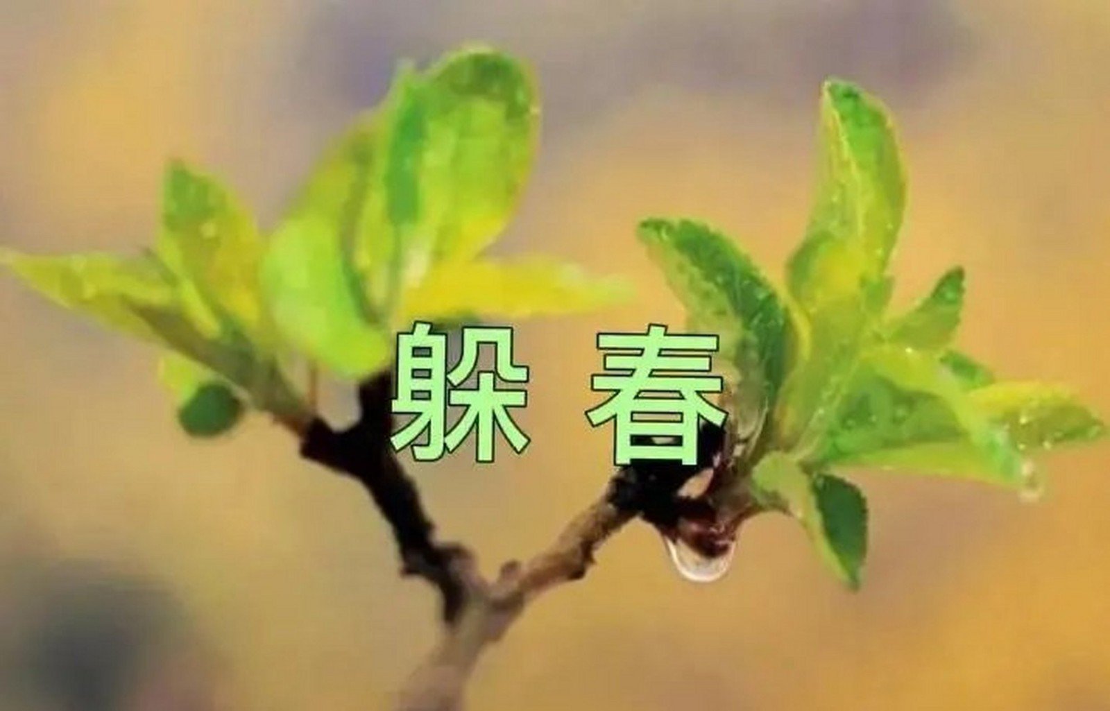 上班的人怎么躲春