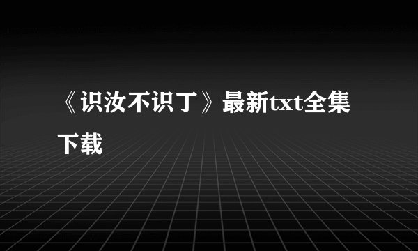 《识汝不识丁》最新txt全集下载