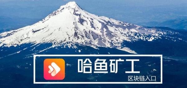 继ofo年底退押金大难之后，摩拜也出了问题