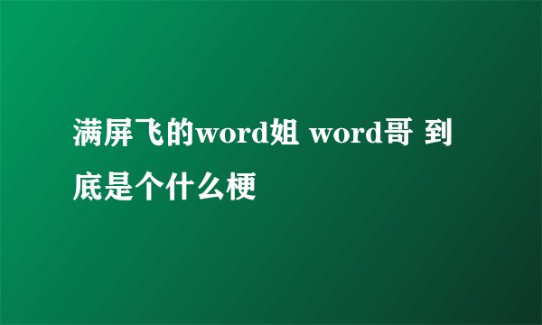 满屏飞的word姐 word哥 到底是个什么梗