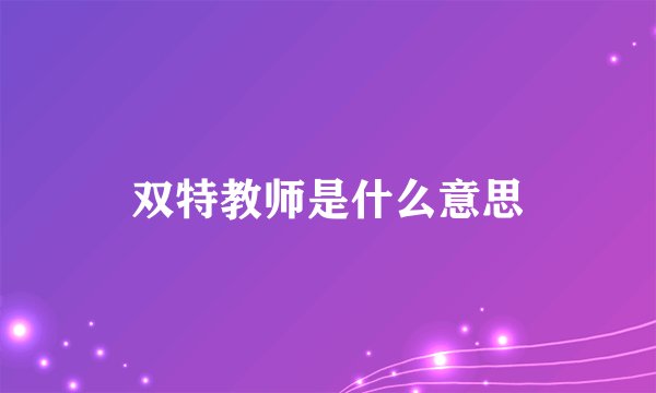 双特教师是什么意思