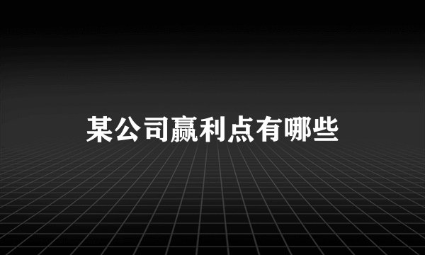 某公司赢利点有哪些