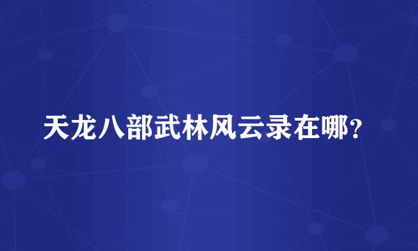 天龙八部武林风云录在哪？