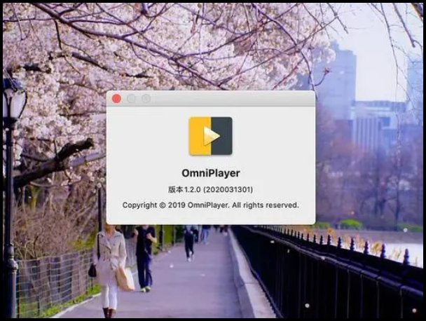 用什么软件可以免费在Mac上看视频