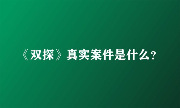 《双探》真实案件是什么？