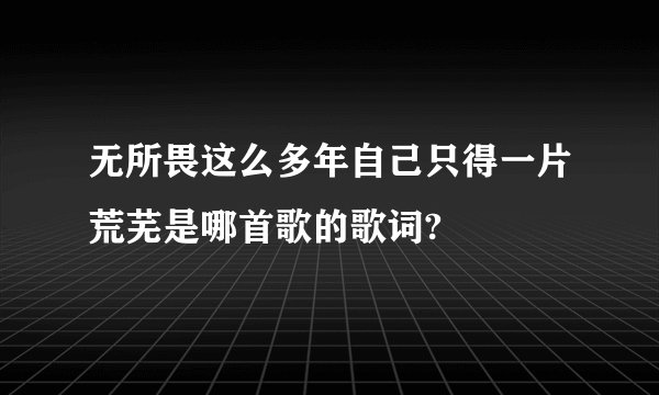 无所畏这么多年自己只得一片荒芜是哪首歌的歌词?