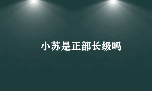 贠小苏是正部长级吗