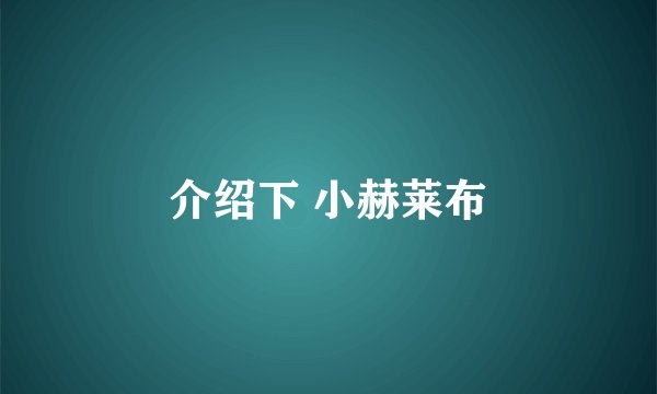 介绍下 小赫莱布