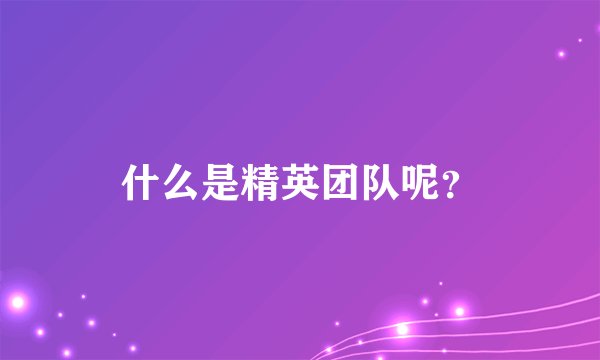 什么是精英团队呢？
