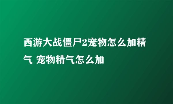 西游大战僵尸2宠物怎么加精气 宠物精气怎么加