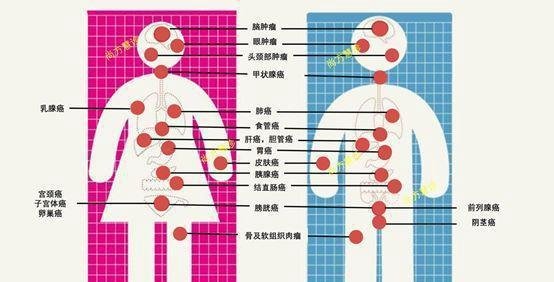 刘德华因患癌暴瘦？本尊现身辟谣：我真的挺健康的！