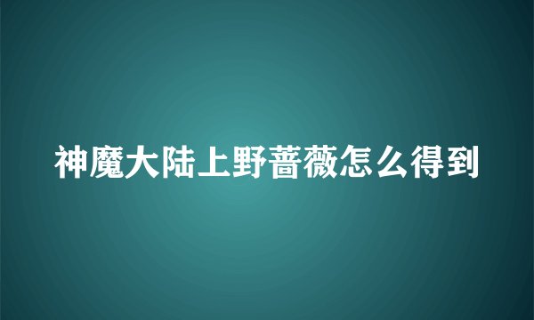 神魔大陆上野蔷薇怎么得到