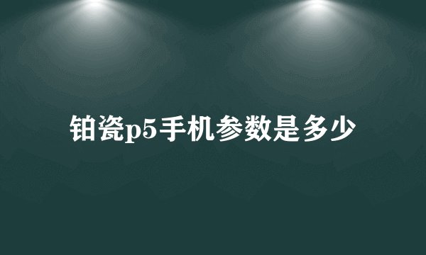 铂瓷p5手机参数是多少