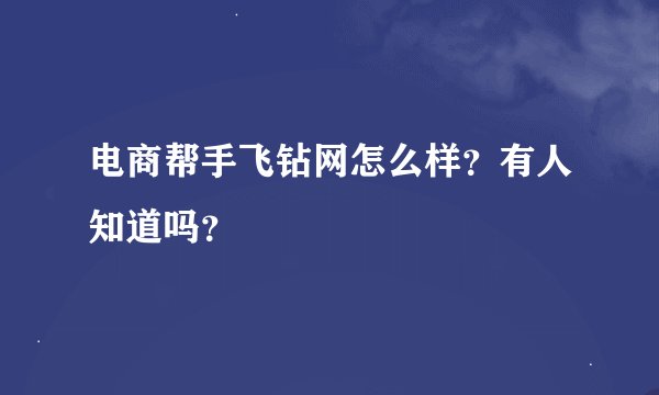 电商帮手飞钻网怎么样？有人知道吗？