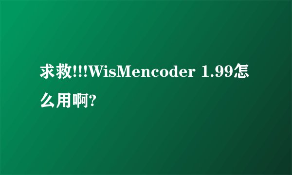 求救!!!WisMencoder 1.99怎么用啊?