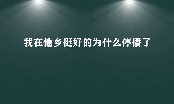 我在他乡挺好的为什么停播了