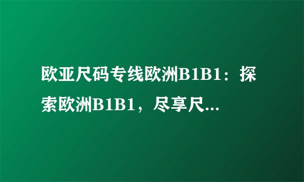 欧亚尺码专线欧洲B1B1：探索欧洲B1B1，尽享尺码专线服务！