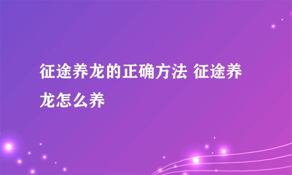 征途养龙的正确方法 征途养龙怎么养