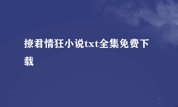 撩君情狂小说txt全集免费下载