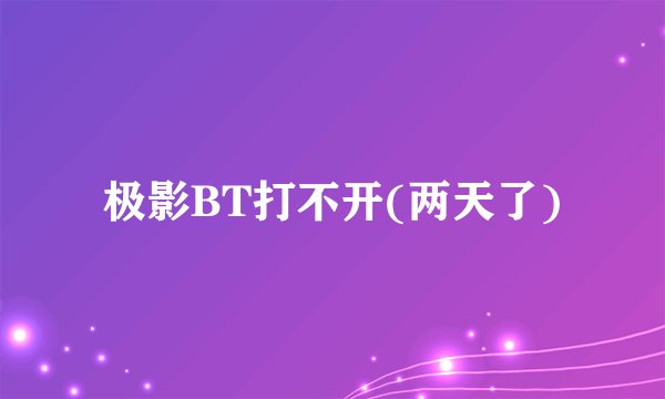 极影BT打不开(两天了)