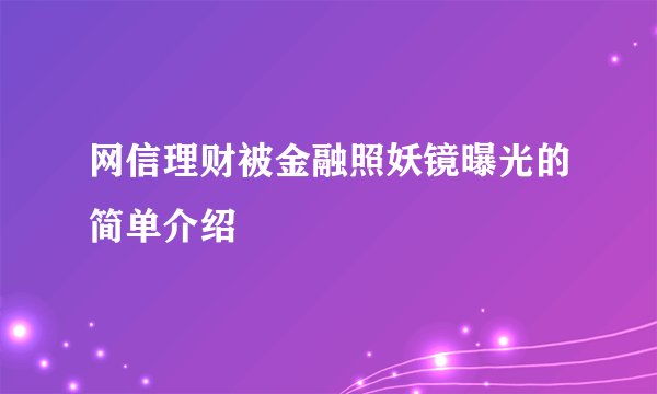 网信理财被金融照妖镜曝光的简单介绍