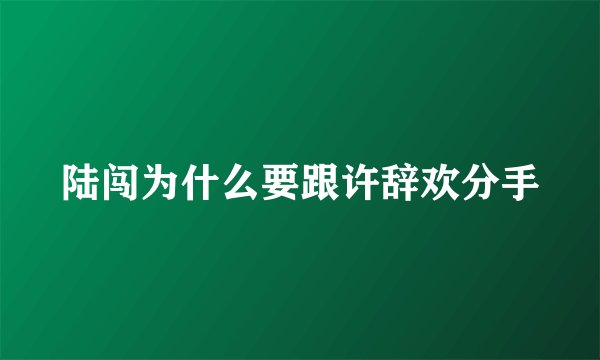 陆闯为什么要跟许辞欢分手
