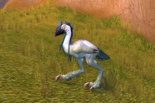 魔兽世界血蹄村任务凯雷失踪了怎么完成？