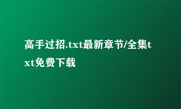 高手过招.txt最新章节/全集txt免费下载