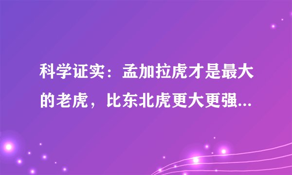 科学证实：孟加拉虎才是最大的老虎，比东北虎更大更强，真的吗？